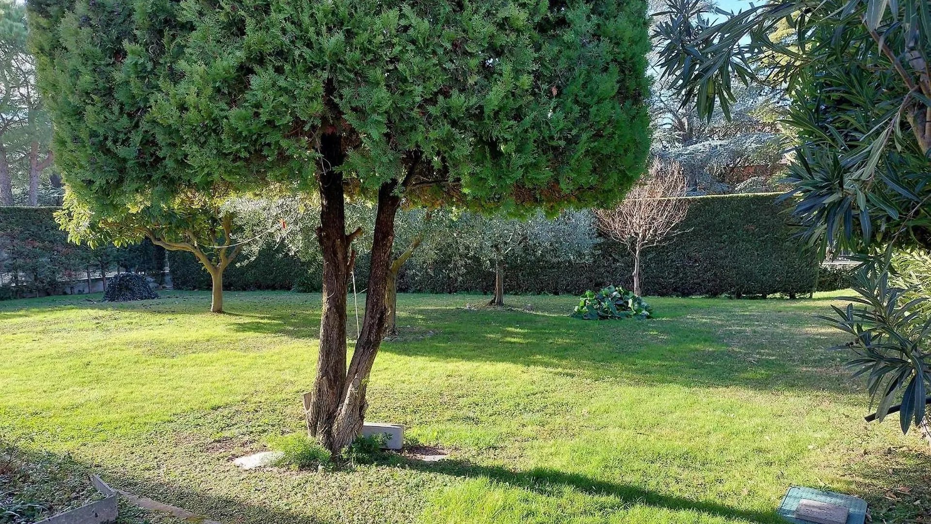 Apartman Dimora Gu -Terrazza, Vista Lago, 100M Da Spiaggia Bardolino